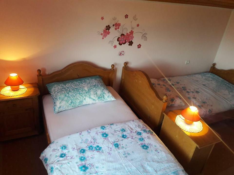 Kuca Za Odmor Anamarija Villa Ogulin Buitenkant foto