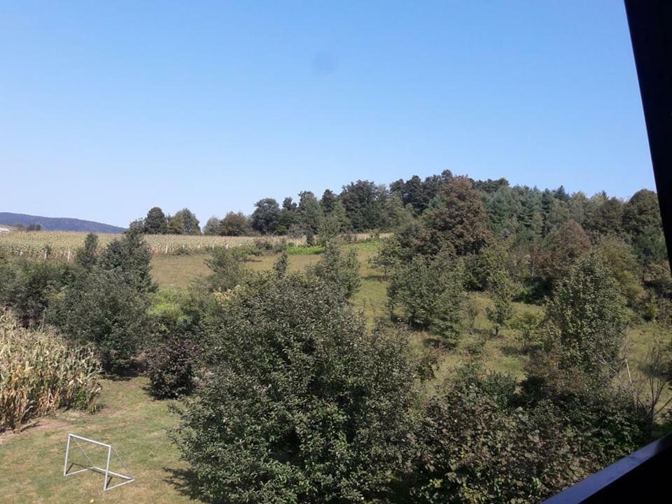 Kuca Za Odmor Anamarija Villa Ogulin Buitenkant foto